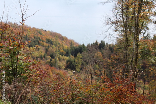 Buchberg
