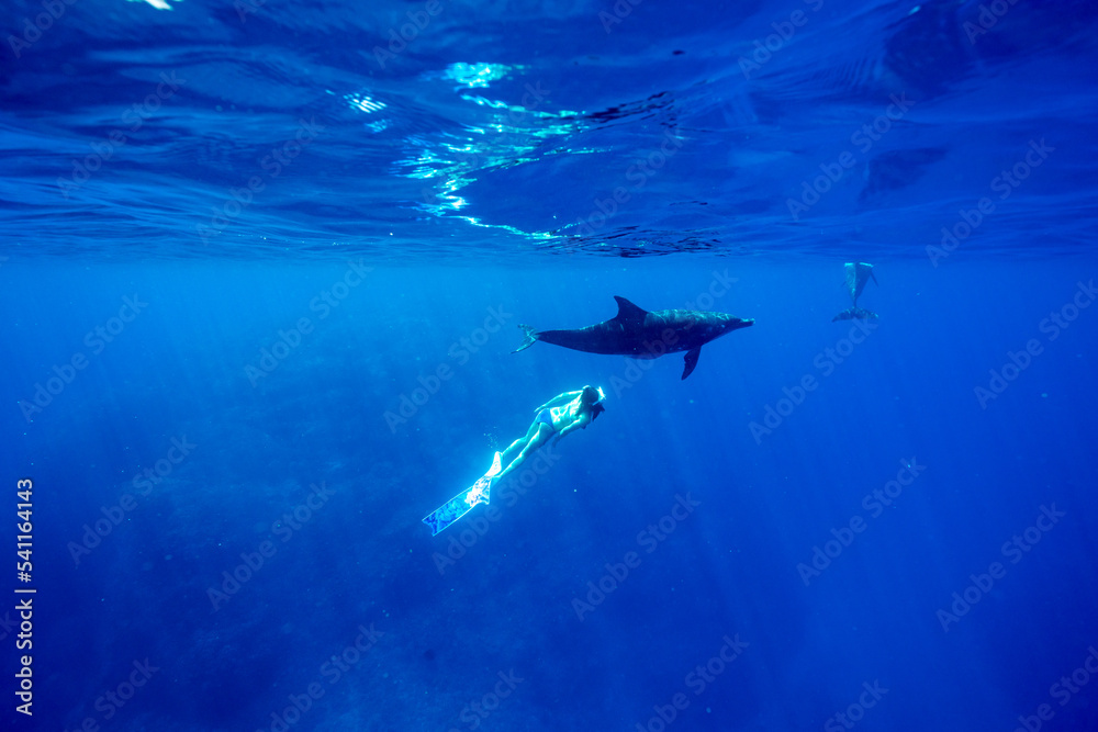 Obraz premium 小笠原 ドルフィンスイム イルカと泳ぐ女性