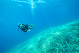 小笠原　エダサンゴの広がる海を潜るダイバー