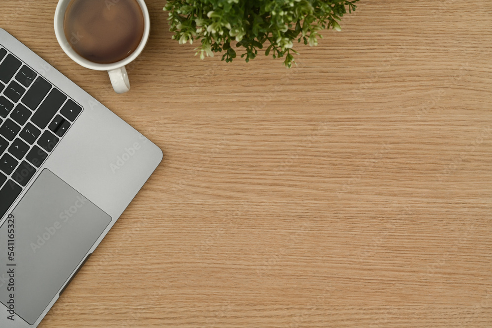 Laptop computer, cup of coffee and houseplant on wooden background. Simple workplace, Top view ,Flat lay Laptop computer, cup of coffee and houseplant on wooden background. Simple workplace, Top view ,Flat lay
