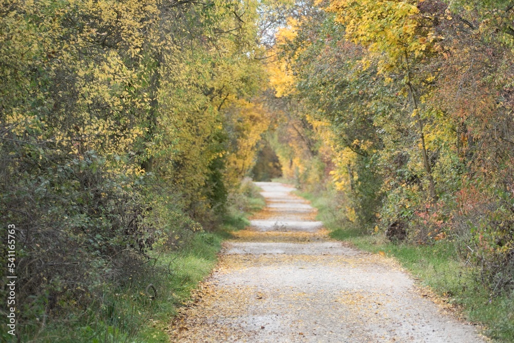 autumn nature in a czech countryside landscape and forest autumn nature in a czech countryside landscape and forest