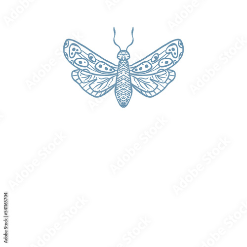 Moth, Butterfly Insect illustration logo png (ID: 541165704)