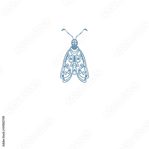 Moth, Butterfly Insect illustration logo png (ID: 541165709)