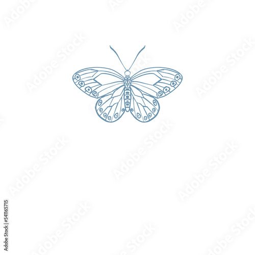 Butterfly Insect illustration logo png (ID: 541165715)