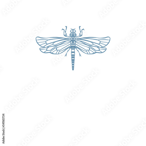 Dragonfly Insect illustration png (ID: 541165734)