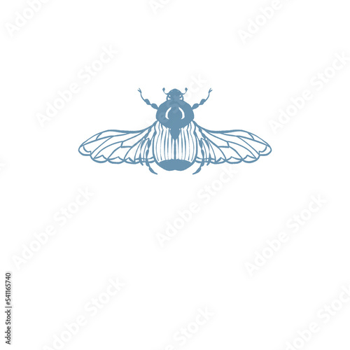 Beetle Scarab Insect illustration logo png (ID: 541165740)