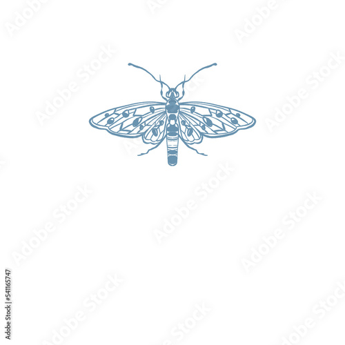 Wasp, queen bee Insects Illustration logo png  (ID: 541165747)