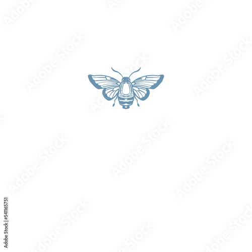  Butterfly Insects Illustration png  (ID: 541165751)
