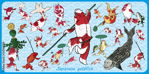 Japanese goldfish