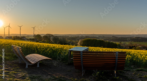 Landschaft gelb mit Windkrafträdern Sonnenaufgang