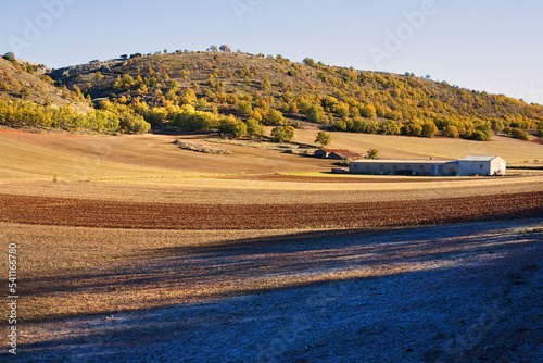 Campo photo