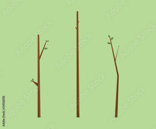 Bough stick on green background
