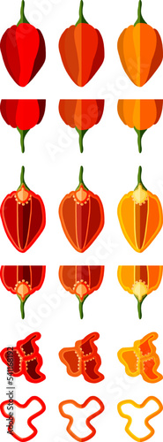 Set with whole, half, quarter, slices, and wedges of habanero chili peppers. Red, orange, and yellow habanero. Vegetables. Flat style. Vector illustration isolated on white background.