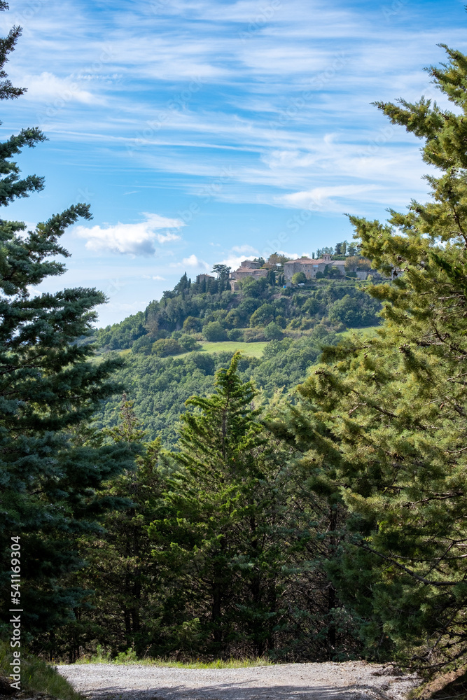 a small in village on top of a hill surrounded by green trees and a blue sky in the background