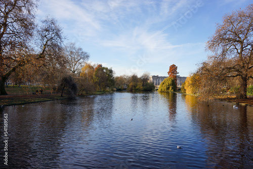 Scene of lake and withered trees in morning at park in London with clear blue sky background.