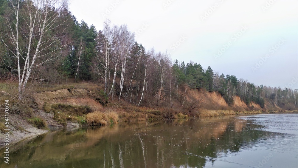 A river landscape in November. The high river bank with sandy bluffs is overgrown with birches and pines. The wind on the water creates ripples. Cloudy weather