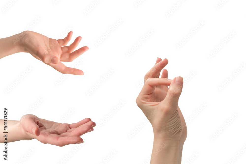 Woman hand isolated on a white background.