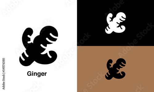 Ginger vector icon white background