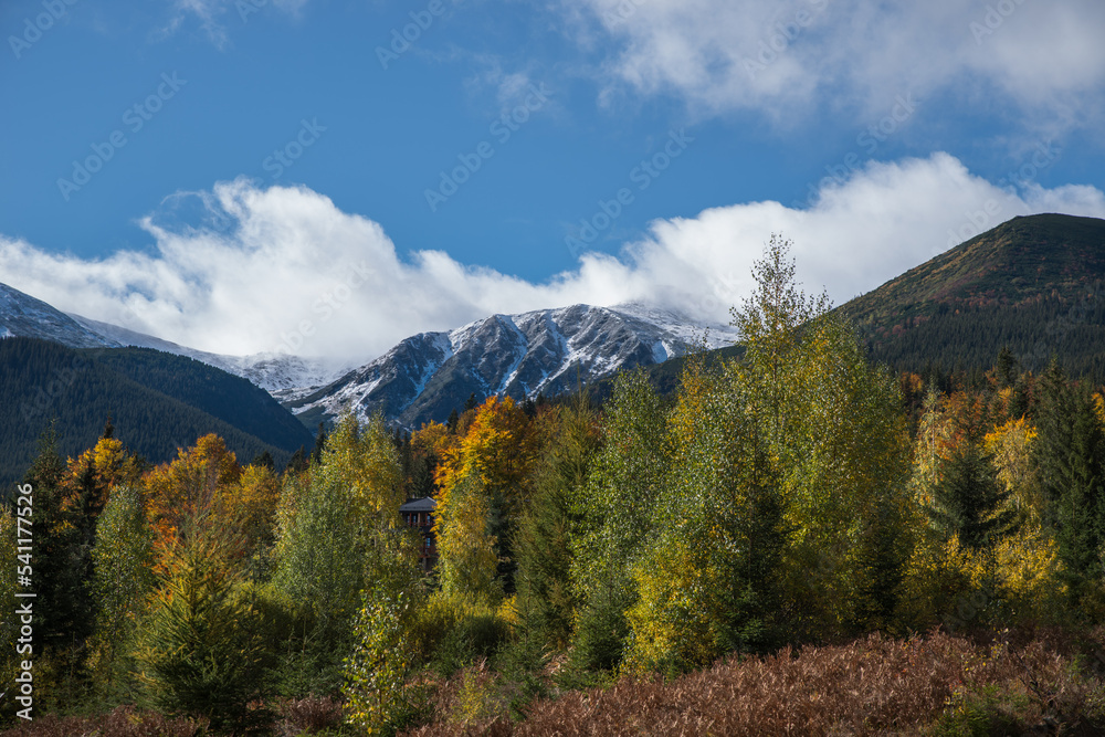 Bright colorful autumn trees in the mountains.