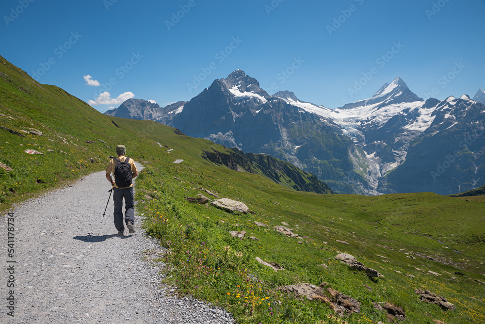 hiker at mountain trail Grindelwald First, stunning view to Bernese Alps and glacier