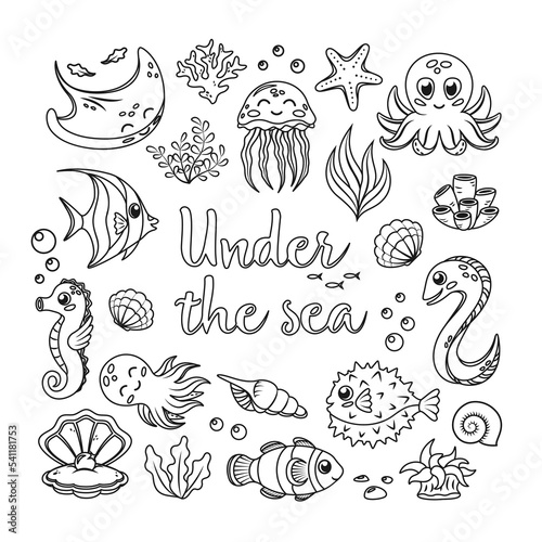 Outline cartoon elements collection of cute exotic sea animals and plants - jellyfish, seahorse, octopus, clownfish, globe fish, muraena. Isolated vector objects for marine design in black and white.