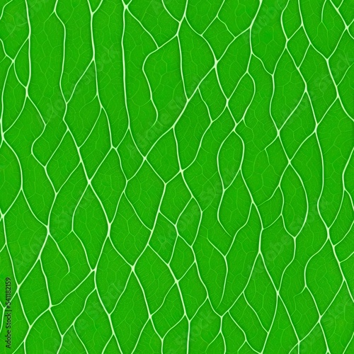 Seamless texture and structure of green leaf Digital art