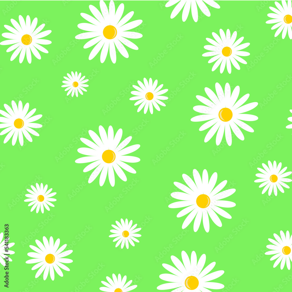 pattern with camomiles on green background. pattern with camomiles on green background.