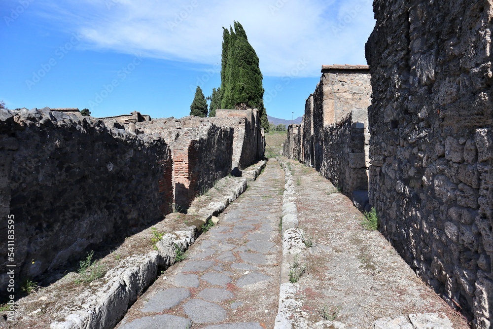 Pompei - Vicolo di Narciso nel Parco Archeologico di Pompei