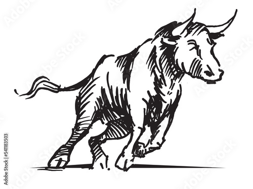 Line drawing of an aggressive attacking bull