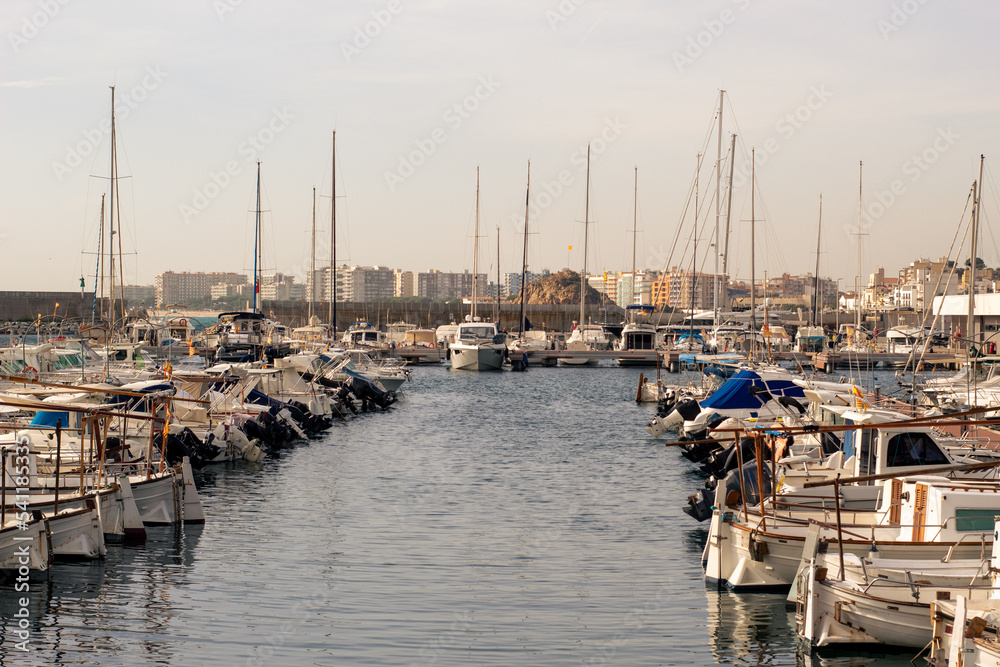 Pequeño puerto pesquero del pueblo catalán Blanes con los barcos estacionados unos al lado de otros bajo un cielo azul de verano.