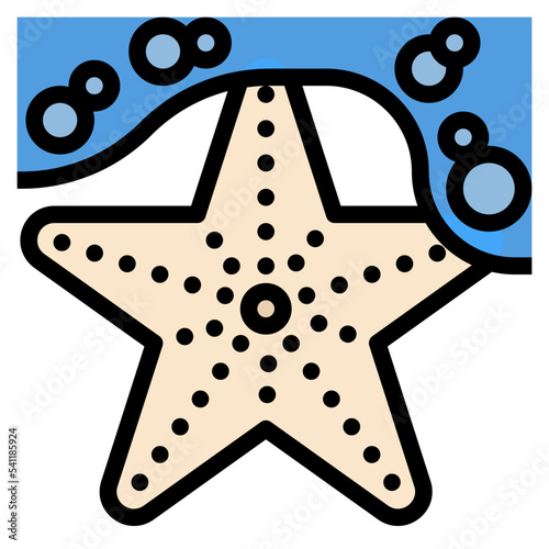 starfish filled color line photo