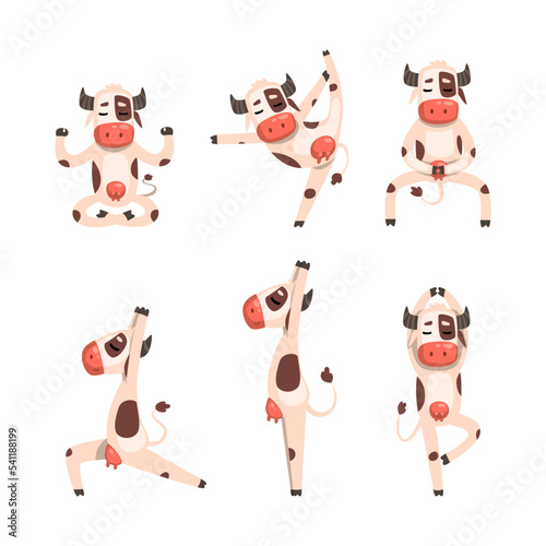 Funny Spotted Cow Character Doing Yoga Standing in Asana Vector Set