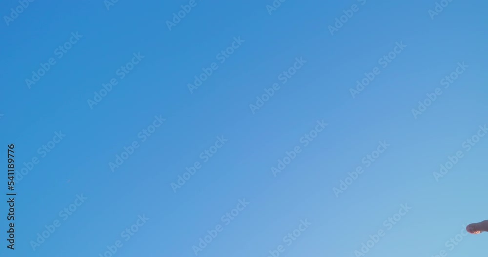 Spreading Love - A slow-mo shot, showing a woman throwing beautiful red paper heart confetti in the air. Shot from below against the clear blue sky on a sunny day. Spreading Love - A slow-mo shot, showing a woman throwing beautiful red paper heart confetti in the air. Shot from below against the clear blue sky on a sunny day.