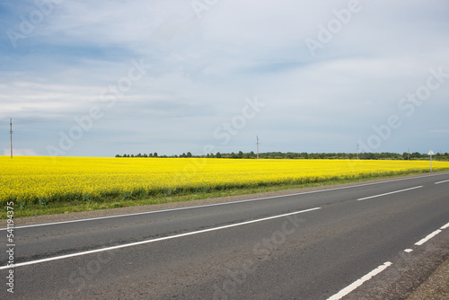highway near the rapeseed field
