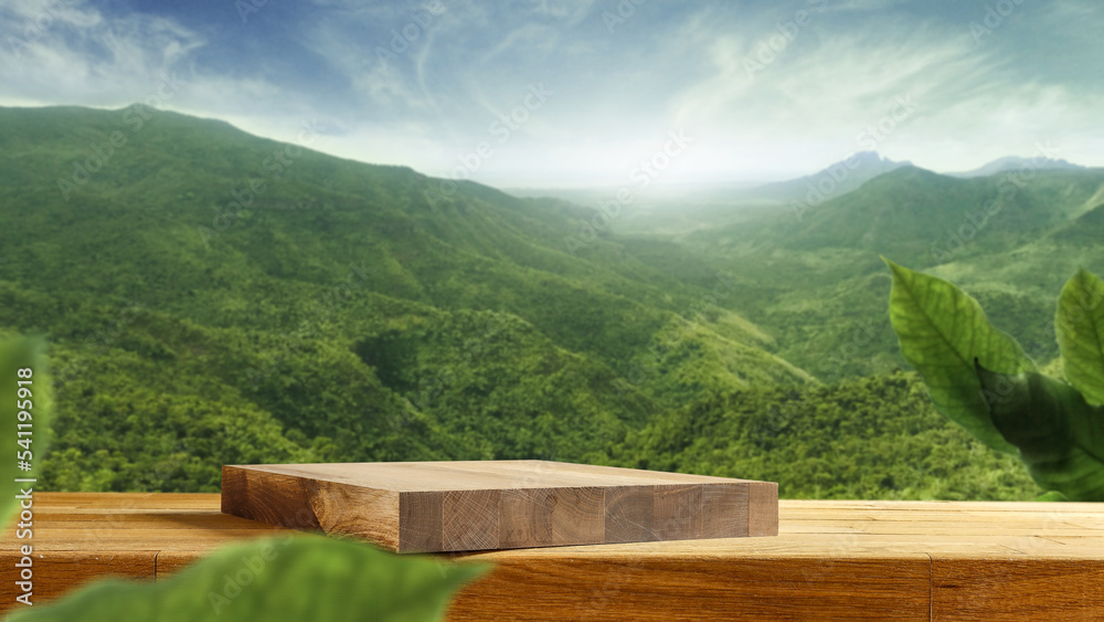 Desk of free space and green landscape of mountains. Desk of free space and green landscape of mountains.