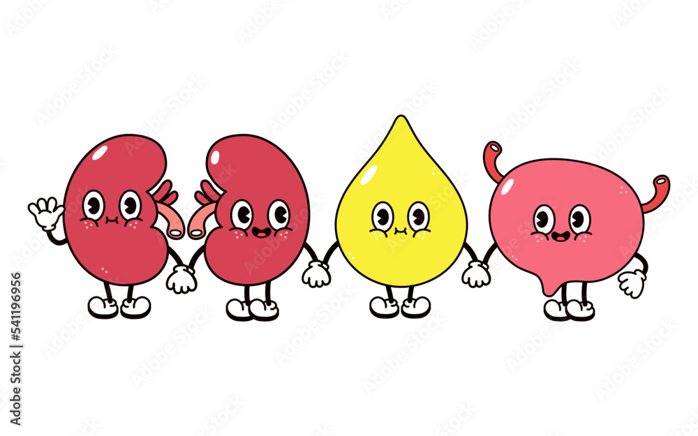 Cute, funny happy drop of urine bladder and kidneys character. Vector hand drawn cartoon kawaii characters, illustration icon. Funny cartoon stomach and bladder friends concept - obrazy, fototapety, plakaty 