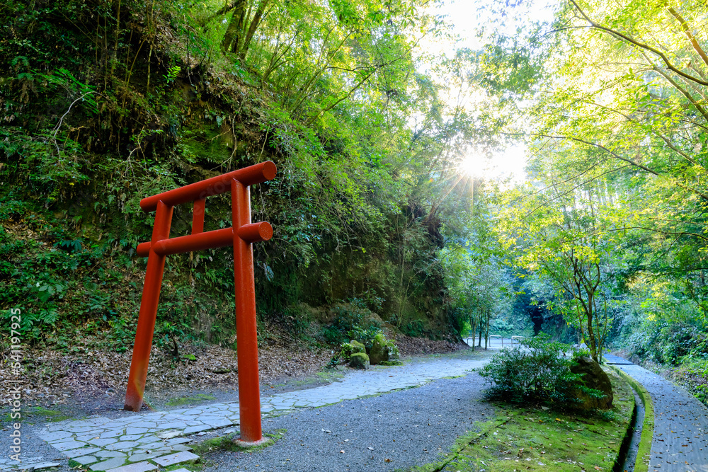 秋の溝ノ口洞穴 鹿児島県曽於市 Mizonokuchi cave. Kagoshima prefecture Soo city. 秋の溝ノ口洞穴 鹿児島県曽於市 Mizonokuchi cave. Kagoshima prefecture Soo city.