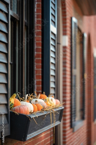 Vertical shot of pumpkins on a windowsill at Halloween