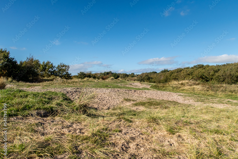 Den Helder, Netherlands. Oktober 2022. The dune landscape at the Grafelijkheidsduinen in Den Helder. Den Helder, Netherlands. Oktober 2022. The dune landscape at the Grafelijkheidsduinen in Den Helder.