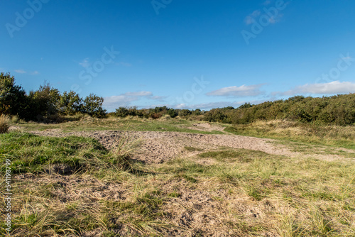 Den Helder, Netherlands. Oktober 2022. The dune landscape at the Grafelijkheidsduinen in Den Helder.
