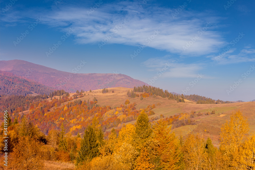 Majestic autumn-colored mountain hills of Carpathian mountains in Ukraine under blue sky with clouds.