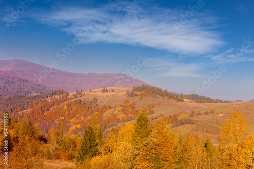 Majestic autumn-colored mountain hills of Carpathian mountains in Ukraine under blue sky with clouds.