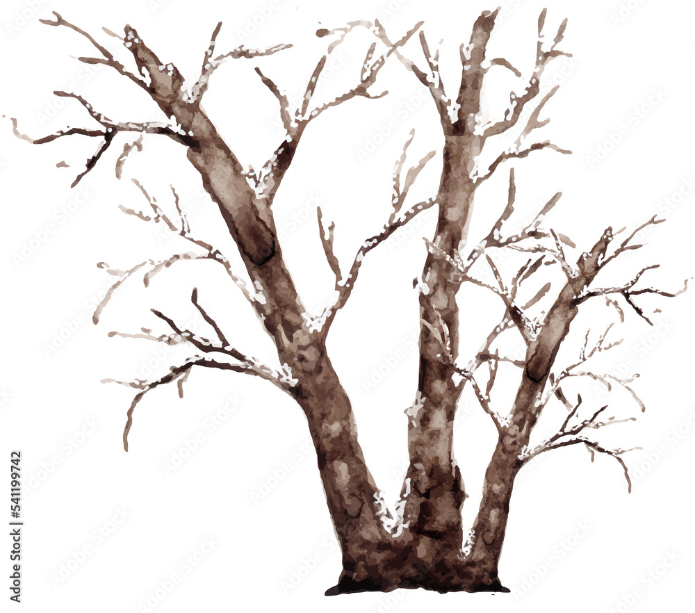 Fototapeta premium tree in winter