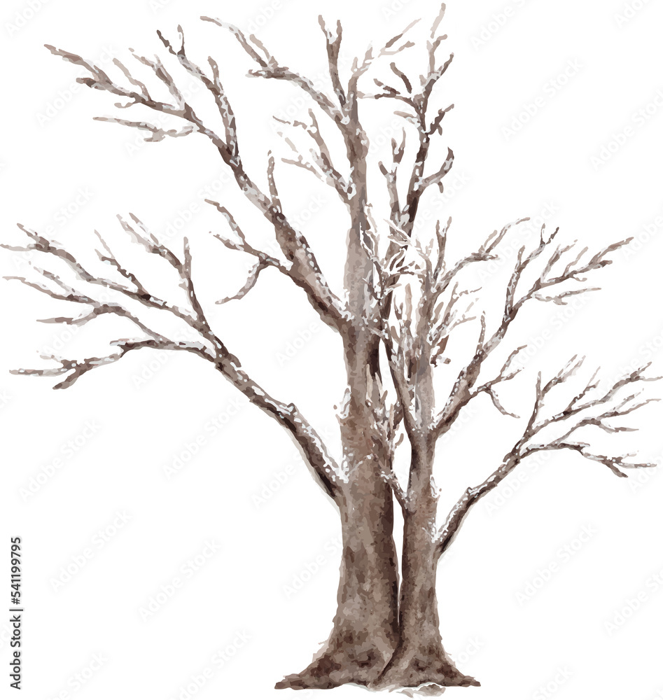 Fototapeta premium silhouette of a tree