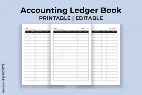 Accounting Ledger Book