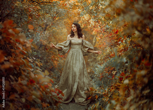 Wallpaper Mural Queen fantasy woman walks in path mystical autumn forest. Orange Gold red foliage fairy tale scenery trees. Happy smiling Princess girl. Vintage long golden dress, puffy sleeves. Sexy medieval lady. Torontodigital.ca
