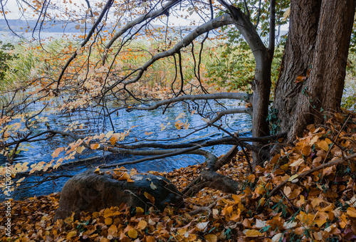 Tollense Lake in Fall