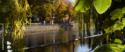 AUTUMN IN CITY - Colorful leaves with city on riverside in the background 