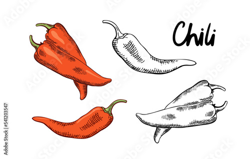 a set of chili peppers in color and colorless versions, contour drawing by hand with hatching