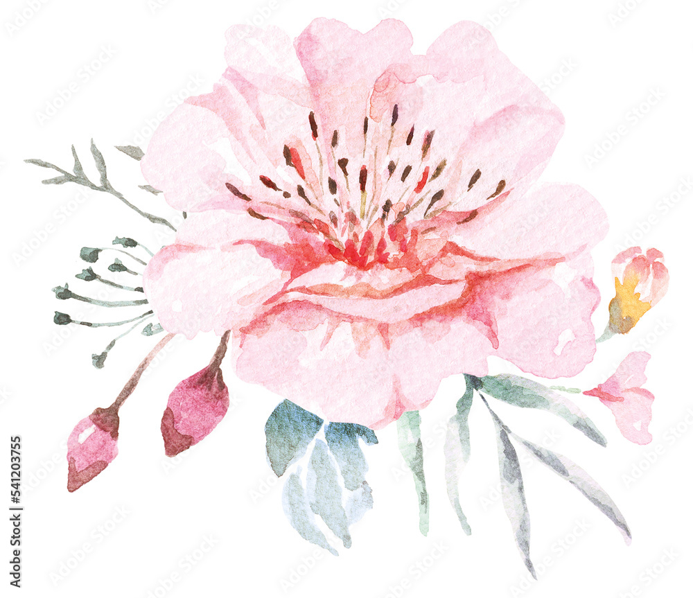 Bouquet of roses and peony painted with watercolors.Hand drawn floral illustration.For wedding and valentine.Vintage style.Blooming pink flower painting for summer. Bouquet of roses and peony painted with watercolors.Hand drawn floral illustration.For wedding and valentine.Vintage style.Blooming pink flower painting for summer.
